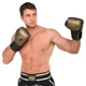 Перчатки боксерские кожаные тренировочные на липучке Fistrage Fight Gear 6480 размер 12 унций Black-Bronze - изображение 7