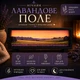 3D LED ночник "Лавандовое поле" оригинальный подарок, черный корпус дерево, аккумулятор, USB Type-C, сенсорное управление - изображение 8