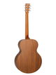 Акустическая гитара TANGLEWOOD TM3 - изображение 2