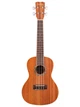 Укулеле Cordoba 15CM - изображение 3