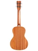 Укулеле Cordoba 15CM - изображение 5