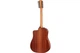 Электроакустическая гитара TAYLOR GUITARS 150ce - изображение 2