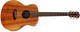 Электроакустическая гитара TAYLOR GUITARS GS MINI-e KOA - изображение 2