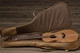 Электроакустическая гитара TAYLOR GUITARS ACADEMY 22E - изображение 4