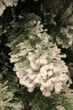 Сосна штучна Black Box Trees Edelman Millington зелена з ефектом покриття снігом 2,15м (8718861279566) - изображение 5