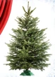 Підставка для ялинки Jumi 13,2x39,5x39,5см форма зірки зелена (5900410122741) - изображение 3