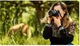 Об'єктив Canon RF 85mm f/2 Macro IS STM (4234C005) - изображение 3