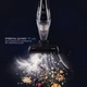 Пылесос ручной LIBERTON LVC-4315 - изображение 2