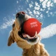 Іграшка для собак WAUDOG Fun Red Ball м'яч, червоний демісезонний м'ячик для собак, спінений термопластичний поліуретан, плаваючий тренувальний м'яч Лайкер стайл, розмір 70 мм (6001) - зображення 2