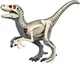 3D пазл-скелет динозавра Velociraptor 3105, анатомическая модель с органами, учебный набор 6+ - изображение 2
