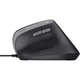 Мишка Trust Bayo II Ergonomic USB Black (25144) - зображення 6