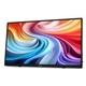 Монитор Acer PM161QTbmiuuux (UM.ZP1EE.007) - изображение 4
