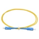 Оптичний патчкорд Eserver SC/UPC-SC/UPC SingleMode Simplex 3m (ES-SC-SC/UPC-3-SM-S) - зображення 1