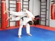 Коврик для фитнеса Bushido Puzzle Tatami 100 x 100 x 2 см Красно-синий (5902539019926) - изображение 12