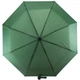 Зонтик Semi Line Green (L2036-6) - изображение 2