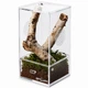 Тераріум акриловий Repti-Zoo Easy Clean Acrylic ACR46 10×10×20 см для комах, павуків - зображення 1