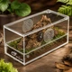 Тераріум акриловий Repti-Zoo Easy Clean Acrylic ACR47 20×10×10 см для комах, павуків - зображення 4