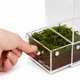 Тераріум акриловий Repti-Zoo Easy Clean Acrylic ACR46 10×10×20 см для комах, павуків - зображення 5