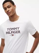 Футболка бавовняна довга чоловіча Tommy Hilfiger XM07857-YCF(Optic White) 2XL Біла (198928514423) - зображення 4