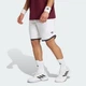 Мужские шорты TENNIS CLASSICS adidas KY8879 (XL 23 см) белый (4069996409828) - изображение 1
