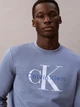 Свитшот на флисе мужской Calvin Klein 556034745 XL Голубой (1161402690) - изображение 4
