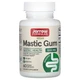 Мастиковая смола 1,000 мг Jarrow Formulas Mastic Gum 60 капсул - изображение 1