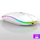 Беспроводная компьютерная мышь Bluetooth с USB-адаптером 2.4 ГГц, RGB-подсветкой, аккумуляторная, белая - изображение 5