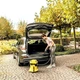 Пылесос хозяйственный Karcher WD 3 1000 Вт 17 л для сухой и влажной уборки с функцией выдува и патронным фильтром Желтый - изображение 3