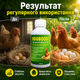 Эффективная добавка в комбикорм для цыплят EggBoost Яйцескость 250 мл Повышение несучести - изображение 7