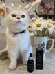 Капли глазные СУПЕРИУМ Сильвер с коллоидным серебром для котов и собак, 30 мл (9101) - изображение 11