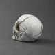 Статуэтка череп «Gothic Skull» полистоун белая - изображение 3