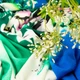 Ткань трикотаж Flora IDEIA 230 гр/м2 150 см, трикотаж для платьев, блузок и вечерней одежды 5258862 - изображение 5