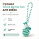 Игрушка Trixie Denta Fun для собак - мяч на веревке с ручкой, 24 см, d 7 см - изображение 2