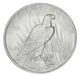 Монета США 1 доллар 1923 Серебро F-VF Peace Dollar (Мирный) (Ag 900, 26,73 грамма) - изображение 1