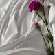 Ткань Интерлок, трикотажное полотно, трикотаж, 190 гр/м2 180 см хлопок, плотная, мягкая, натуральная, для футболок белый 5264180 - изображение 5