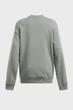 Жіночий сірий світшот Pjt Rck W HWT Crew Tools Under Armour S 1386444-709 - изображение 4