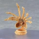 Фигурка Ксеноморф RESTEQ 16 см — коллекционная фигурка Чужого из фильма «Alien» на подставке - изображение 5