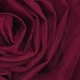 Ткань фатин Nisa Турция бордовый с отблеском 13г/м.кв 300см пог.м - изображение 1
