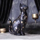 Фигура "Чёрный кот ночи" 09938 - изображение 1