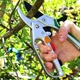 Секатор садовый Gruntek Kondor 295200200 200 мм - изображение 5