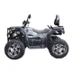 Квадроцикл Spark APEX 250SE - зображення 3