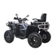 Квадроцикл Spark GRAND 250SE - зображення 4