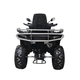 Квадроцикл Spark GRAND 250SE - зображення 5