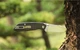 Ніж складаний туристичний Ruike P746-CB Чорний - зображення 9