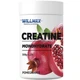 Креатин Willmax Creatine Monohydrate 500 г (Pomegranate / Гранат) креатин моногидрат - изображение 1