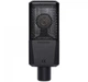 Микрофон универсальный Lewitt LCT 240 PRO Black - изображение 2