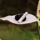 Наушники Bang & Olufsen Beo Grace Natural Aluminium (1240900) - изображение 9