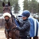 Комплект Polar Equine Healthcheck с датчиком пульса H10 для лошадей, черный - изображение 2