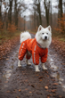 Дощовик для великих порід собак 3XL 56-57cm Самоід Хаскі Лайка Dog's Happiness Помаранчевий Хлопчик 0115-01/33 - изображение 1