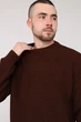 Джемпер чоловічий YUKI коричневий 52 ЦБ-00283240 - изображение 4